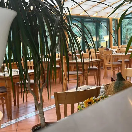 Hotelferienanlage Friedrichsbrunn Hotel 3*