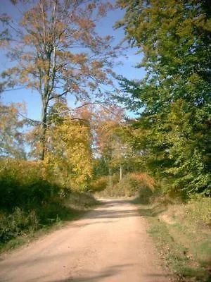 Отель Harz