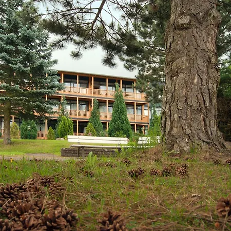호텔 Harz 3*