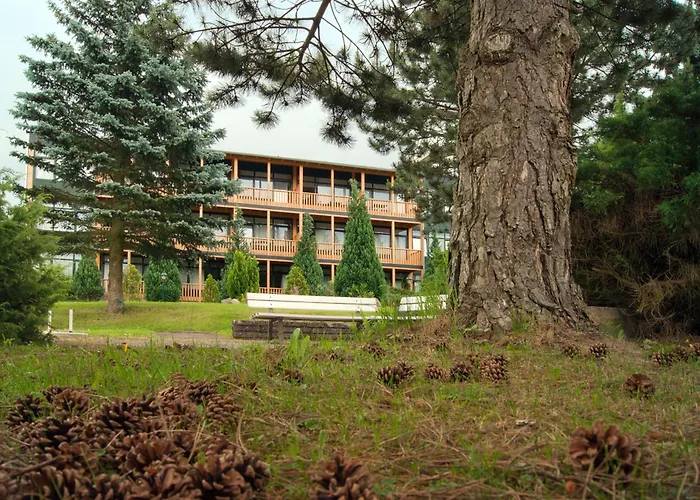 Hotel Hotelferienanlage Friedrichsbrunn 3*