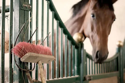 Hotel Hotelferienanlage Friedrichsbrunn Thale